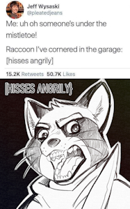 5069664_BastionShadowpaw_angerytrashpanda.png
