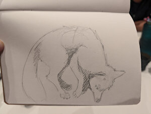 5226902_DakkaWoof_snoflake_fox_sketch.jpg