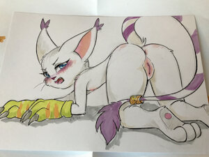 5235097_JinxMcKenzie_4606349_tokemoemon_-_gatomon_butt_img_6544.jpg