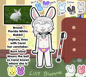 5240239_BunnyQueen_lilly_ref_nsfw_panties.png