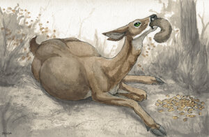 5246571_Difetra_deersquirrels.jpg