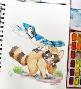5323247_pandapaco_raccoon_bluejay_photo.jpg