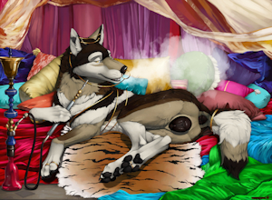 5334850_Truegrave9_galleta_hot_harem_wolf_final_color_small.png
