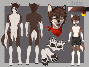 5501703_Balto_img_8157.png