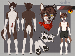5501711_Balto_img_8158.png