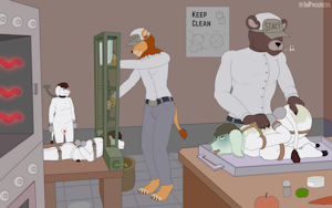 5585533_InProgress_kitchen2.png