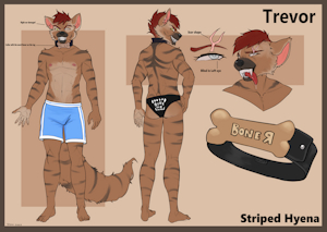 5587828_SynnfulTiger_hyena_ref_sheetsfw.png