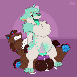 5938993_PocketPaws_10_nov_cosmiccocoa_xray_cum.gif