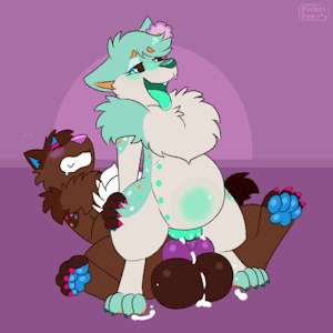 5938995_PocketPaws_10_nov_cosmiccocoa_noxray_cum.gif