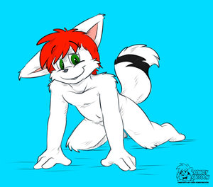 539885_WinterFox_536738_winterfox_wintercutepose.jpg