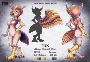 753389_ern_owl-sheet.jpg