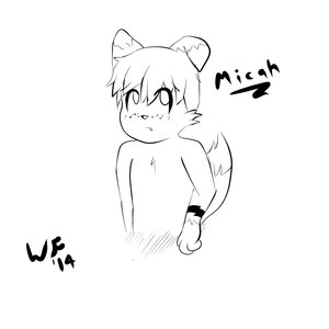828302_WinterFox_micah.jpg