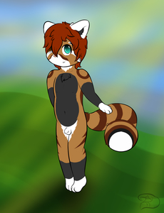 970564_WinterFox_redpandacub.png