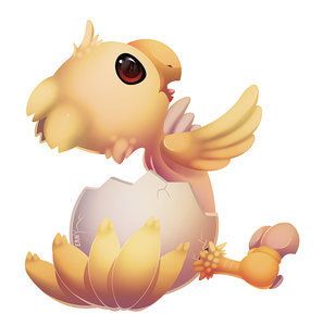 1015049_ern_chocobo_mage_e.jpg