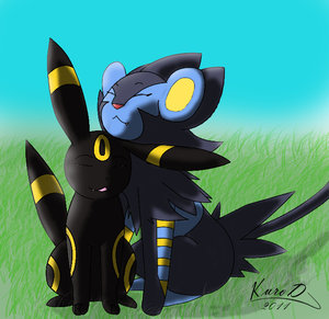 112642_kuroodod_kuro_and_luxray_copy.jpg