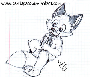 1175742_pandapaco_97biro_patas.jpg