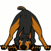 1310269_DangerDoberman_hans_tail_wag_icon.gif