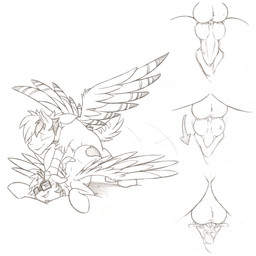 andromorph andromorph/male andromorph_penetrated animal_genitalia animal_peni...