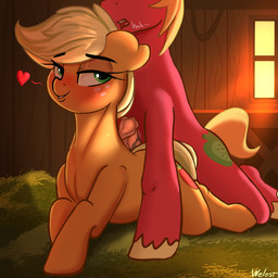 animal_genitalia animal_penis detailed_background duo equine_genitalia equine...