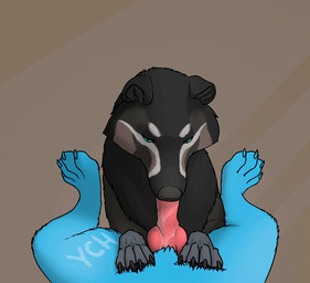 4_toes ambiguous_focus ambiguous_gender ambiguous_penetrated animal_genitalia...