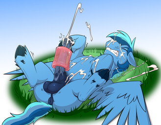 animal_genitalia animal_penis anus balls blue_balls blue_body blue_feathers b...
