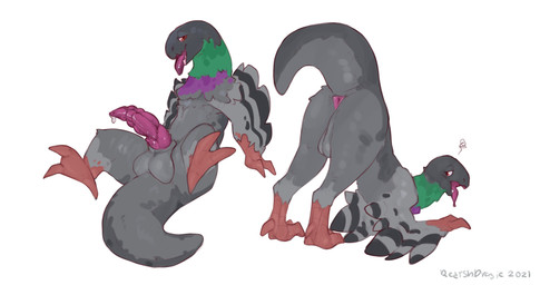 anus ass_up backsack balls balls_on_tail black_body black_feathers blush bodi...