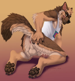 4_toes animal_genitalia anthro anus backsack balls bottomless brown_body brow...