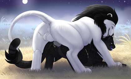 animal_genitalia animal_vulva balls detailed_background duo feline_genitalia ...