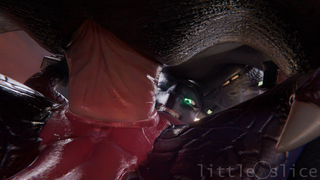 anus black_body close-up duo erection female female_penetrated feral genitals...