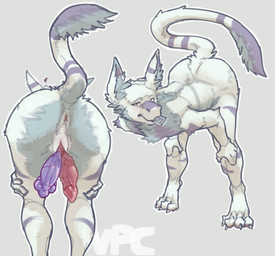 2_penises 4_toes animal_genitalia anthro anus bent_over butt chest_tuft claws...