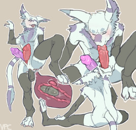 2_penises anal anal_penetration animal_genitalia anthro arm_warmers armwear a...