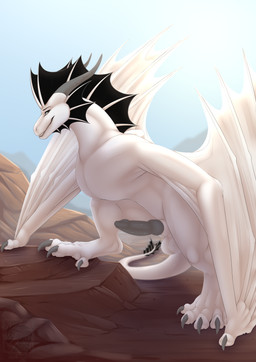 animal_genitalia balls black_fin digitigrade erection feet feral genitals gre...