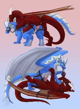 anal anal_penetration animal_genitalia anus blue_body blue_eyes blue_scales b...