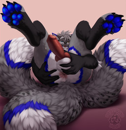 4_toes animal_genitalia animal_penis anthro anus balls canine_genitalia canin...