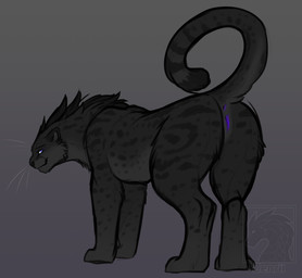 anus black_body black_fur butt female feral fur genitals hair looking_at_view...
