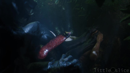 animal_genitalia animal_penis anthro big_feet big_penis black_body black_fur ...