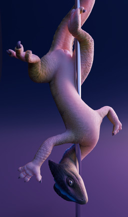 animal_genitalia claws cloaca dancing female female_feral feral finger_claws ...