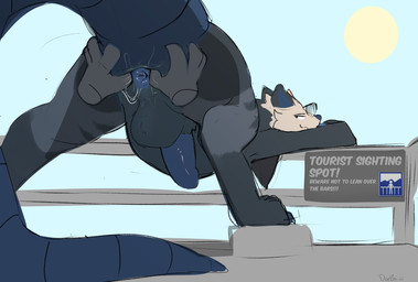 anal_fluids anal_juice_string anthro anus balls black_body black_fur blue_anu...