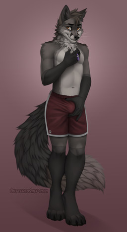 anthro bedroom_eyes bottomwear brown_eyes bulge clothing fur gem grey_body gr...
