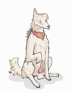 anatomically_correct animal_genitalia balls blep bodily_fluids canine_genital...