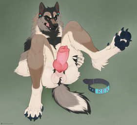 animal_genitalia animal_penis anthro ball_tuft balls big_penis black_body bla...
