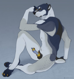 animal_genitalia animal_penis anthro balls blue_background blue_body blue_fur...