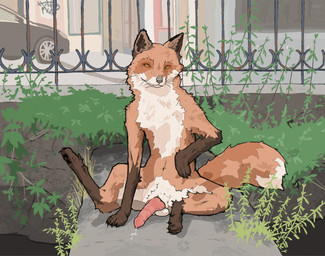 anatomically_correct anatomically_correct_genitalia animal_genitalia animal_p...