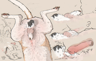 all_fours ambiguous_gender ambiguous_penetrated anatomically_correct anatomic...