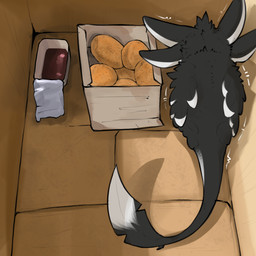 4_ears ambiguous_gender big_tail black_body black_feathers black_fur box card...