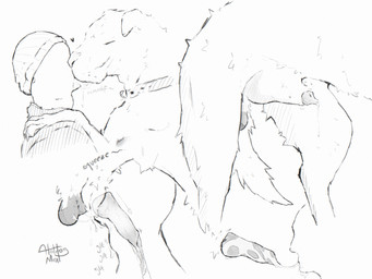 4_toes after_oral all_fours ambiguous_gender ambiguous_penetrated anatomicall...