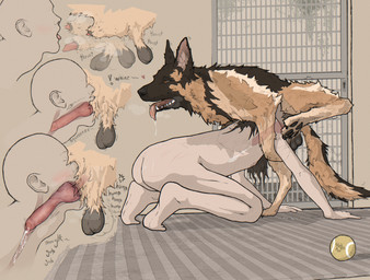 4_toes 5_fingers all_fours anatomically_correct anatomically_correct_genitali...