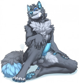 animal_genitalia animal_penis anthro balls blue_eyes blue_nose blue_pawpads b...