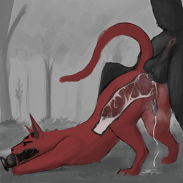 anal anal_knotting anal_orgasm anal_penetration animal_genitalia animal_penis...