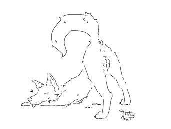 anus ass_up balls bent_over blep bodily_fluids butt cum cum_on_ground feral g...